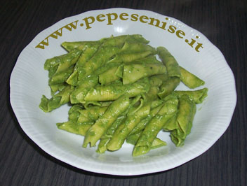 GARGANELLI AL PESTO DI CICORIA